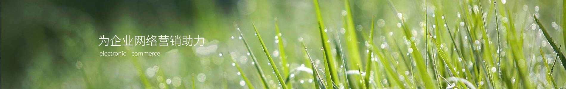 ӱǬһܼ޹˾